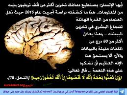 صورة وآية ذاكرة الدماغ الرهيبة Miracles Of Quran What Is Life About Miracles