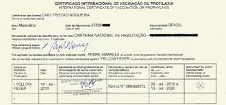 É um documento oficial, conhecido como carteirinha internacional de vacinação, que comprova que o passageiro está imune a doenças estabelecidas no regulamento sanitário internacional (rsi). Vacinas Para Viajar Vou Sem Guia