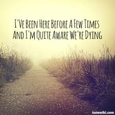 Take A Look To The Sky Just Before You Die Metallica Lyrics Always Blink 182 Pop Lyrics Blink 182 Lyrics Band Quotes