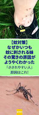 蚊対策 兄の俺より なぜか妹のほうがいつも蚊に刺される その驚きの原因がようやくわかった 蚊にさされやすい人もこれで大丈夫 蚊 対策 蚊に刺されやすい 蚊に刺され 常在菌 蚊 アレルギー 消毒用アルコール 健康 蚊 対策 健康 蚊