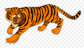 Tiger cartoon stock photos and images. Tiger Roar Cartoon Drawing Roar Clipart Stunning Free Transparent Png Clipart Images Free Download