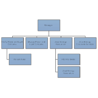 Company Structure Chart Guatemalago