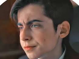 VOCÊ CONHECE O AIDAN GALLAGHER?