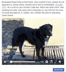Register with helping lost pets to post a report. How To Boost A Facebook Post For A Lost Pet