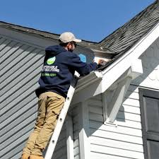 Scout pest can also provide residential pest control services in fullerton. Affordable Pest Solutions Llc Budd Lake Nj