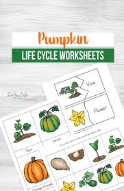 Pumpkin Life Cycle Worksheets Pumpkin Life Cycle Kindergarten Science Activities Science Activities For Kids
