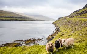 Maybe you would like to learn more about one of these? Knitting In The Faroe Islands 19 To 26 July 2021 Knitting Crochet Guild