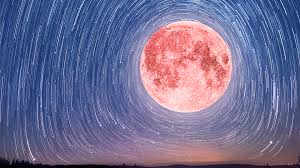 The two zodiac signs associated with the month of august are leo and virgo. V1bkkn5hogoihm