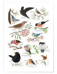 Sandy Lohss Garden Birds German In 2020 Bird Illustration Bird Poster Bird Drawings