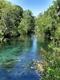 Silver springs state park, located in silver springs, florida, offers natural beauty and unique event facilities, making it a perfect place to host any couple's dream wedding. Silver Springs State Park Monkeys And More Simply Heartfelt