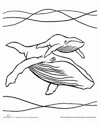 Kids love to fill whale coloring pages with attractive colors. Humpback Whale Worksheet Education Com