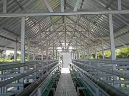 Baja ringan ini memiliki ukuran yang berbeda dengan ukuran baja konvesional, dimana baja ringan ini terlihat tipis dan ringan, namun. Baja Ringan Kandang Kambing Istimewa Gudang Dan Bangunan Lainnya Konstruksi Dan Taman 800206677