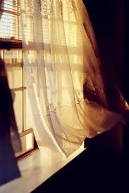 A broken down sealant seal can also cause a buzzing sound if it is loose and the wind blows past it. 110 Wind Ideas Wind Through The Window Blowin In The Wind