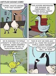 Angry Geese Explained Funny Canadian Memes Facebook