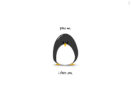 Only the best hd background pictures. Poke Me I Dare You Penguin Wallpaper Cute Wallpapers For Ipad Penguins