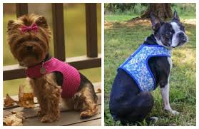 Cut pieces of your lining and outer fabrics large enough to accommodate your dog vest template when placed on the fold. Diy Fabric Dog Harness Free Sewing Patterns Fabric Art Diy