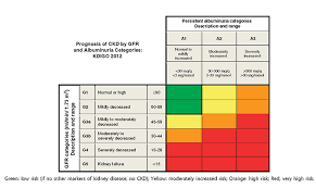 Renal Cancer Renal Mass Localized Renal Cancer Guideline