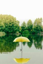 John wishes he had taken an umbrella to work this morning. Rainbow Beach Umbrella Wallpapers Wallpaper Cave