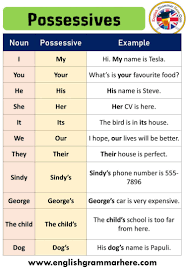 That is, they agree with the thing possessed, not the possessor. Possessive Pronoun Definition And Examples English Grammar Here