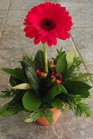En brosemiami comenzamos con una serie de videos tutoriales, mostrando lo mejor de nuestros diseños y elaboración de arreglos florales con las mejores rosas. 43 Ideas De Arreglos Florales Pequenos Arreglos Florales Arreglos Florales Sencillos Arreglos