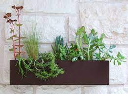 Contemporary Brown Succulent Wall Trough Planter Planter W Free Shipping Metal Wall Planters Succulent Hanging Planter Succulent Wall
