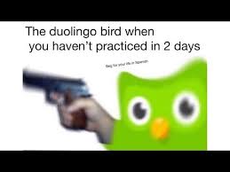 Über 7 millionen englischsprachige bücher. Duolingo Memes Evil Duolingo Owl Know Your Meme