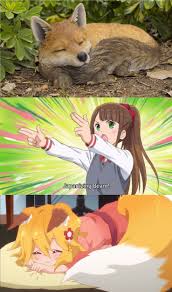 Selam dostlar bugün sizlere animelerde'ki komik anları derledim umarım izlerken güzel zaman geçirirsiniz iyi seyirlerrsocial media. The Japanizing Beam Format Got Japanized Japanizing Beam In 2021 Anime Memes Funny Senko San Anime Funny