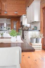 painted kitchen cupboards creative