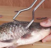 Save Big on Bulk Fish Scale Scraper Shaving Knife Fish Scale Scraper  Stainless Steel Meat Scraper Household Kitchen Cleaning Tool | Best Deals  on ...