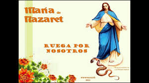 Ver ruega por nosotros (2021) online latino hd , ruega por nosotros película completa en español latino, castellano o subtitulado español solo en cuevana , ruega por nosotros es una película de género horror. Ruega Por Nosotros Youtube