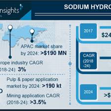Sodium Hydrosulfide Market Global Industry Analysis 2013 2017 And Opportunity Assessment 2017 2024 Marketing Marketing Data Sodium