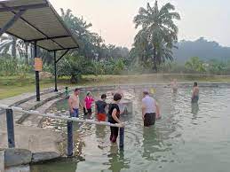 Jika memilih kolam umum tentunya. Sg Lalang Hotspring Semenyih 2021 All You Need To Know Before You Go With Photos Semenyih Malaysia Tripadvisor