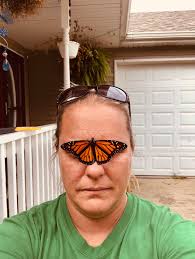Releasing butterflies at our food forest. (Florida)