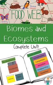 Ecosystems Biomes Food Chain Webs Bundle Ecosystems Biomes Teaching Ecology