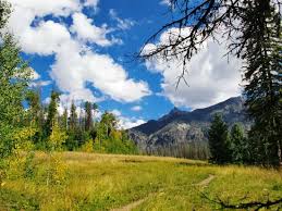 Snooty foxx gentleman's club, colorado springs, colorado. Fourmile Falls Trail Pagosa Springs 2021 All You Need To Know Before You Go With Photos Tripadvisor