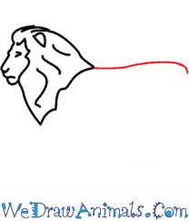 I found that drawing animals in the most simplest. How To Draw A Lion