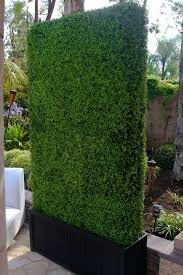 30 Beautiful Backyard Garden Design And Landscape Ideas Vertikaler Garten Hinterhof Garten Hintergarten