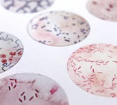 microbe collection bacteria bacteria art science science art microbiology biology art watercolor print science decor science gift biology art science decor science art pinterest