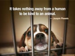 Via Animals Australia On Facebook Animals Animal Quotes Pets