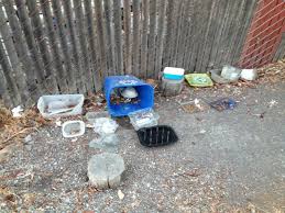 Check out our cat feeding station selection for the very best in unique or custom, handmade pieces from our pet feeding shops. Cat Feeding Station Adobe Creek Urban Wildlife Research Project
