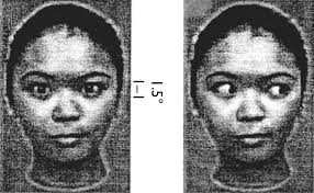 4 INFANT PERCEPTION AND COGNITION