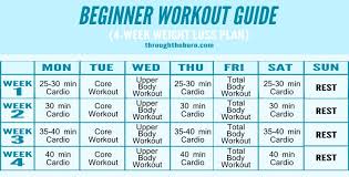 Beginner Workout Plan