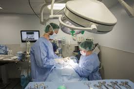 Animal hospital of streamwood streamwood, il. Clinical Affiliations Long Island University