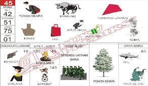 God can not transplant anything wasteful and futile including creating dreams. 65 Erek Erek Cara Golden