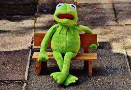 The best gifs of frog sitting on a bench on the gifer website. Green Frog Plush Toy Sitting On Miniature Bench Free Image Peakpx
