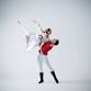The Nutcracker Ballet - NEAD 40th Anniversary event in New Canaan, CT