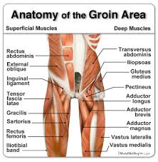 Call it what you want: Groin Strain Information