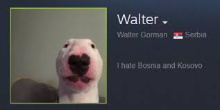 Walter Walter Memes Bull Terrier