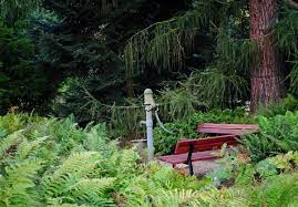 Botanischer garten der tu dresden: Informationen Fur Besucher Botanischer Garten Tu Dresden