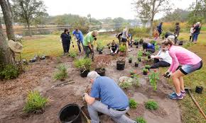 The curls and colors of the design were inspired by grillwork found around new orleans. Nfl Hosts Green Week Ahead Of Super Bowl Food Tank